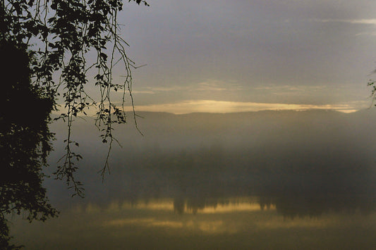 Golden Mist Over Silent Lake.  Gyllene dimma över stilla sjö